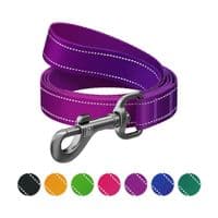 Повідок для собак WAUDOG Nylon Mono, світловідбивний S фіолетовий (52179)