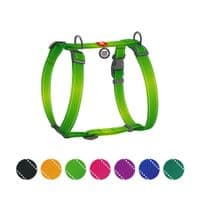 Шлея для собак WAUDOG Nylon Mono з QR-паспортом, пластиковий фастекс L салатова (52745)