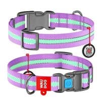 Ошейник для животных WAUDOG Nylon с QR паспортом пластиковый фастекс Ш 15 мм Д 25-35 см фиолетовый (45629)