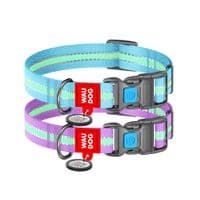 Ошейник для животных WAUDOG Nylon с QR паспортом пластиковый фастекс Ш 20 мм Д 28-40 см голубой (45632)