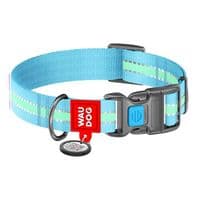 Ошейник для животных WAUDOG Nylon с QR паспортом пластиковый фастекс Ш 25 мм Д 33-49 см голубой (45642)