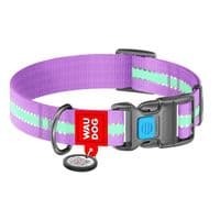 Ошейник для животных WAUDOG Nylon с QR паспортом пластиковый фастекс Ш 25 мм Д 33-49 см фиолетовый (45649)