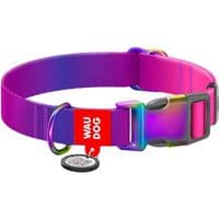 Ошейник для животных WAUDOG Nylon Recycled с QR паспортом градиент S фиолетовый (46529)