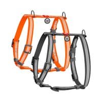 Шлея для собак WAUDOG Waterproof анатомічна Н-подібна з QR-паспортом L сіра (326211)
