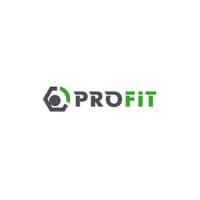 Воздушный фильтр для автомобиля Profit 1512-4037