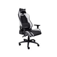 Крісло ігрове Trust GXT714W Ruya Eco White (25065)