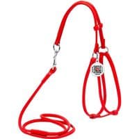 Шлея для собак WAUDOG Glamour кругла, з повідцем XS червона (34023)