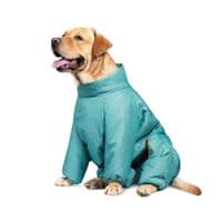 Комбинезон для животных Pet Fashion «Cold» XS (бирюзовый) (4823082425297)