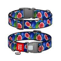 Нашийник для тварин WAUDOG Nylon з QR паспортом "Інжир" пластиковий фастекс XXL (284-4053)