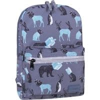 Рюкзак школьный Bagland Молодежный Mini 740 Cублимация 8 л (00508664) (675711845)