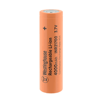 Аккумуляторный модуль 6S2P/12 элементов 8000mAh 22.2V 500 циклов заряда 6S2P INR21700-4000