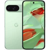 Смартфон Google Pixel 9 12/256Gb Wintergreen
