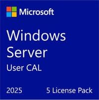 Примірник ПЗ Microsoft Windows Server 2025 CAL 5 User англ, ОЕМ без носія