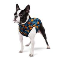 Курточка для животных WAUDOG Clothes Апельсины S 40 (406-4054)