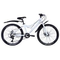 Велосипед Discovery 24" Flint DD рама-13" St сірий 2024 (OPS-DIS-24-343)
