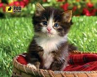 Килимок для мишки Podmyshku Кошеня у кошику, пластик.