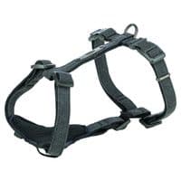 Шлей для собак Trixie CityStyle H-harness Хлопок S–M 42–60 см 15 мм Черный (4053032683273)