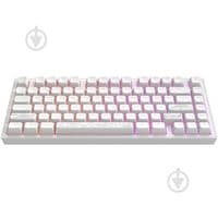 Клавіатура Dark Project ALU81 Terra Nostra PBT RGB Mech G3MS Moonstone White (DPKB_NOSTRA_81_ANSI_WHITE_UA)