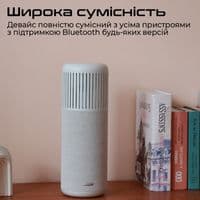 Акустическая система HiFuture Wedge 50W Silver (wedge.silverwhite)