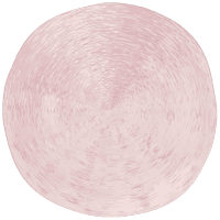 Тарілка LUMINARC ARTASYM METERSY /20 см/ суп (X0117)