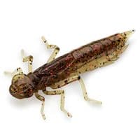 Силикон рыболовный FishUP Dragonfly 0.75" 045 - Green Pumpkin/Red&Black (12шт/уп) (1864.04.72)