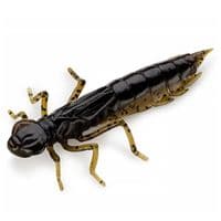 Силікон рибальський FishUP Dragonfly 1.2" 043 - Watermelon Brown/Black (10шт/уп) (1864.04.82)