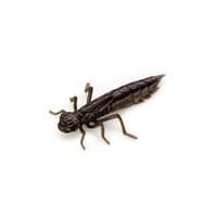 Силикон рыболовный FishUP Dragonfly 1.7" 050 - Green Pumpkin Brown/Red&Purple (8шт/уп) (1864.04.95)