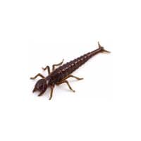 Силикон рыболовный FishUP Diving Bug 2" 050 - Green Pumpkin Brown/Red&Purple (8шт/уп) (1862.02.19)