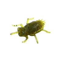 Силікон рибальський FishUP Dragonfly 0.75" 074 - Green Pumpkin Seed (12шт/уп) (1864.04.75)
