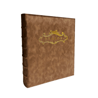 Альбом UFO 10x15x200 PU-46200 Florentina