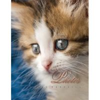 Альбом UFO 10x15x200 PP-46200 Cat photo
