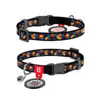 Нашийник для тварин WAUDOG Nylon з QR паспортом "Апельсини" пластиковий фастекс XS 20-30 см (279-4054)