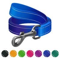 Повідок для собак WAUDOG Nylon Mono світловідбивний M 20 мм, 200 см, синій (463712)