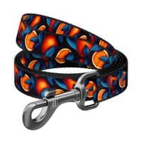 Повідок для собак WAUDOG Nylon "Апельсини" L-XXL, Ш 25 мм, Д 300 см (762-4054)