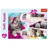Пазл Trefl Милые котята 160 элементов (5900511153712)