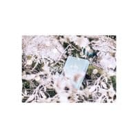 Гральні карти Noc Winter Edition (Glacier Ice) (PC_NWECI)
